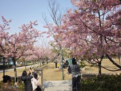 -新江湾城公园