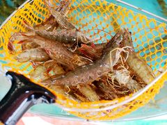 -张会海鲜饭店(东戴河店)