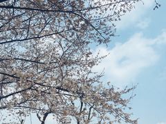 -上海南浦大桥长途旅游客运站