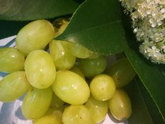 -盒马鲜生(金桥国际广场店)
