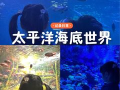 -太平洋海底世界