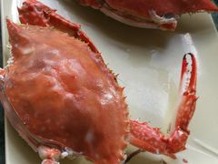 -大锅强·蒸海鲜青岛菜(吾悦广场店)