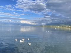 -青海湖国家重点风景名胜区