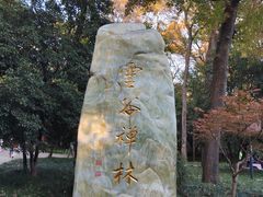 -灵谷景区