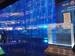 -成都浩海立方海洋公园