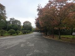 -南京市江宁方山