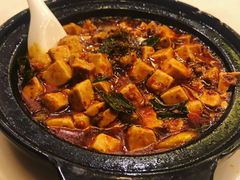 -陈麻婆豆腐总店
