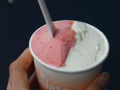 -Dip in Gelato(富民路店)