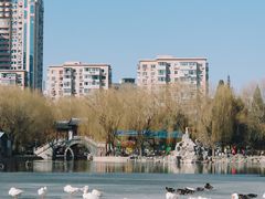 -团结湖公园