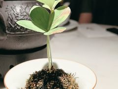 -初蓉丨遇见新川菜(亲贤街荣耀店)