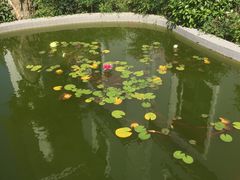 -白玉兰商务酒店(曲阜三孔景区春秋西路店)