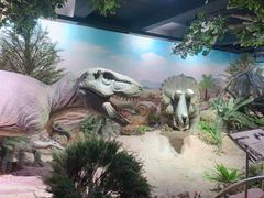 -国家自然博物馆