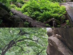 -尧山风景区