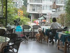 -生态苑农庄(十里画廊遇龙河店)