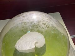 -青岛贝壳博物馆