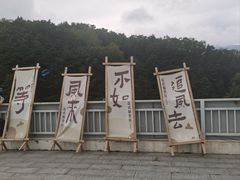 -六里坪国家森林公园