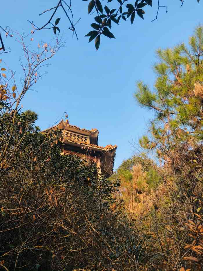 江苏惠山国家森林公园图片