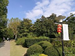 -新江湾城公园