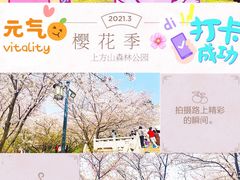 -苏州上方山国家森林公园