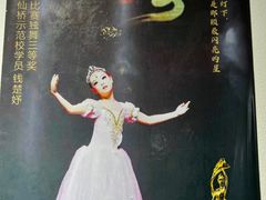 -中央芭蕾舞团·中芭艺蕾(酒仙桥明星校区)