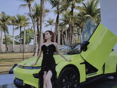 -欢乐海岸椰林沙滩-2025湾区超级灯会