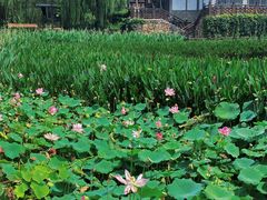 -茅山东方盐湖城景区