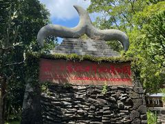 -海口火山口国家地质公园