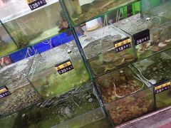 水产区-四海鲜渔家菜(黄金海岸店)