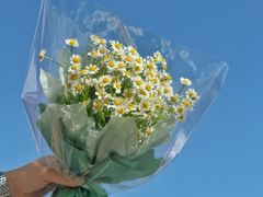 -玫瑰之约(花之语鲜花店)