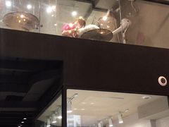 -MOLLY'S萌宠生活馆