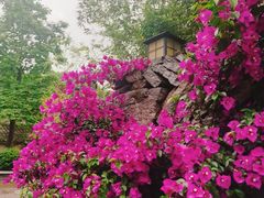 -青岩古镇