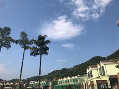 -重庆海昌加勒比海水世界