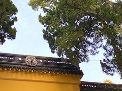 -灵岩山风景区