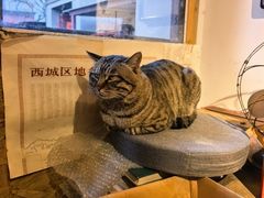 -正阳书局(西四南大街店)