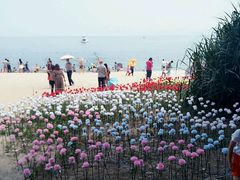 -玫瑰海岸文化旅游度假区