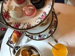 -东海朗廷酒店·廷廊 Palm Court