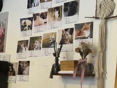 -平行世界·猫咖(首经贸店)