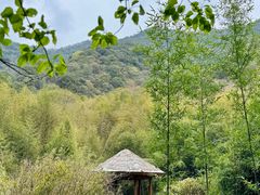 -黄公望隐居地
