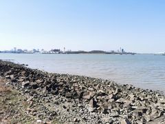 -上海滨江森林公园