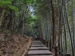 -敬亭山风景名胜区