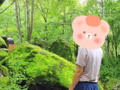-茅兰沟国家森林公园