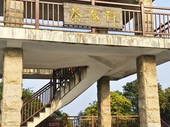 -东莞市大岭山森林公园