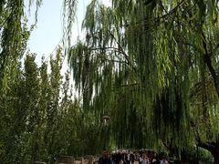 -五泉山公园