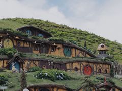 -仰天湖大草原