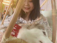 -Husky Go! 哈士奇体验馆·宠物咖啡厅狗咖