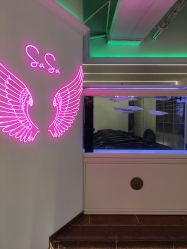 -BULB STUDIO 巴柏明星发型工作室