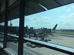 -新加坡航空公司(ION)