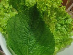 -坦坦大炉·韩式烤肉(望京店)