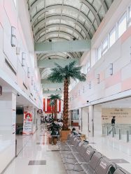 -复旦大学附属妇产科医院(杨浦院区)