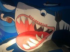 -烟台海昌鲸鲨海洋公园